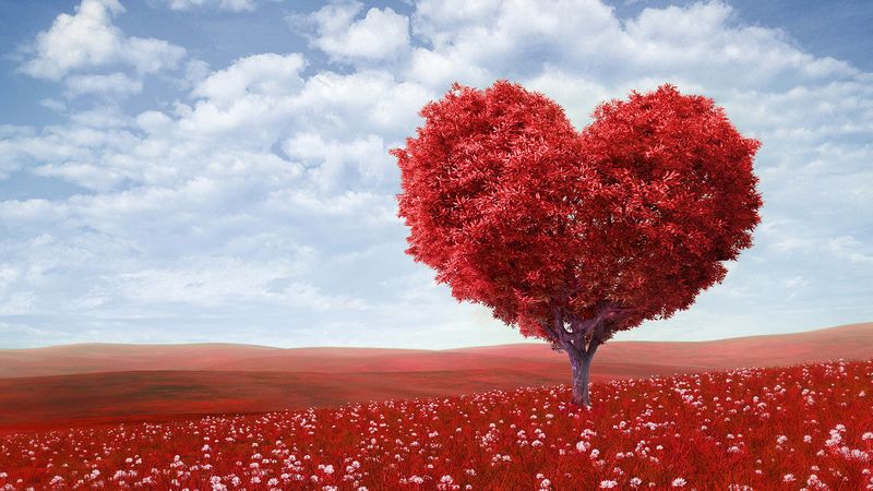 How a Strong Marriage Shapes Your Child's Future